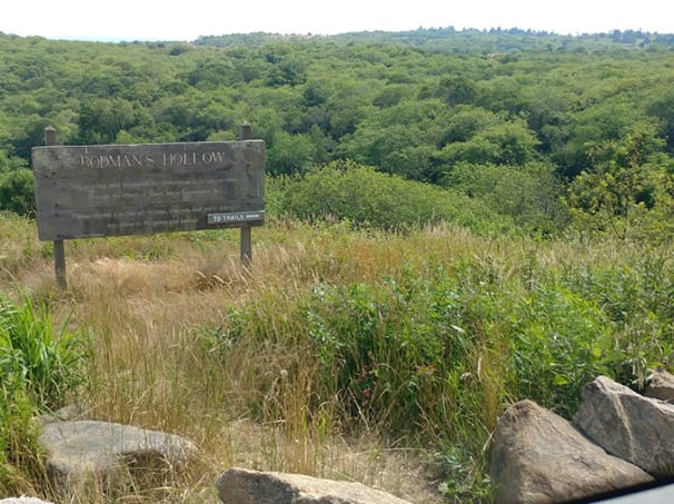 Rodmans Hollow